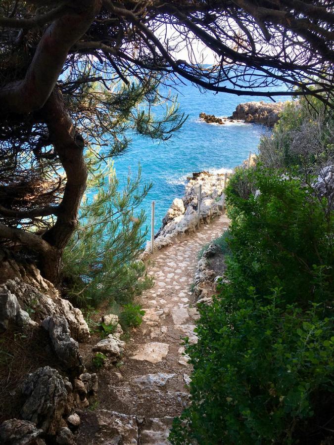 Artistic Antibes Apartment 外观 照片