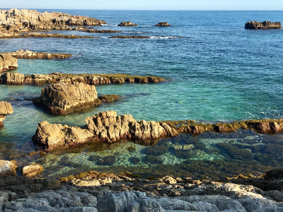 Artistic Antibes Apartment 外观 照片